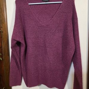Banana Republic Women's V-Neck Sweater in Rich Purple